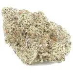 Han Solo Burger Craft - Indica