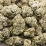 Han Solo Burger Craft - Indica - Image 3