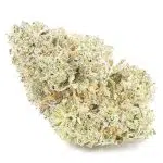 Malibu Sunset AAAA - Indica