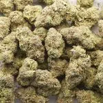 Malibu Sunset AAAA - Indica - Image 3