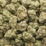 Wholesale - Monkey Breath - AAAA