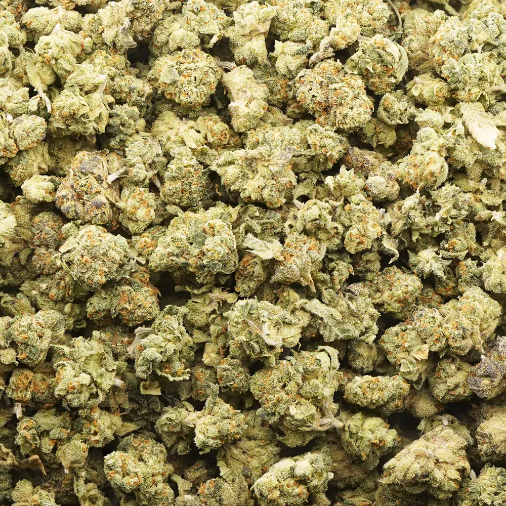 buy-weed-online-dispensary-pie-face-aa-popcorn-wholesale