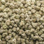 Wholesale Popcorn - El Fuego Blanco - Craft