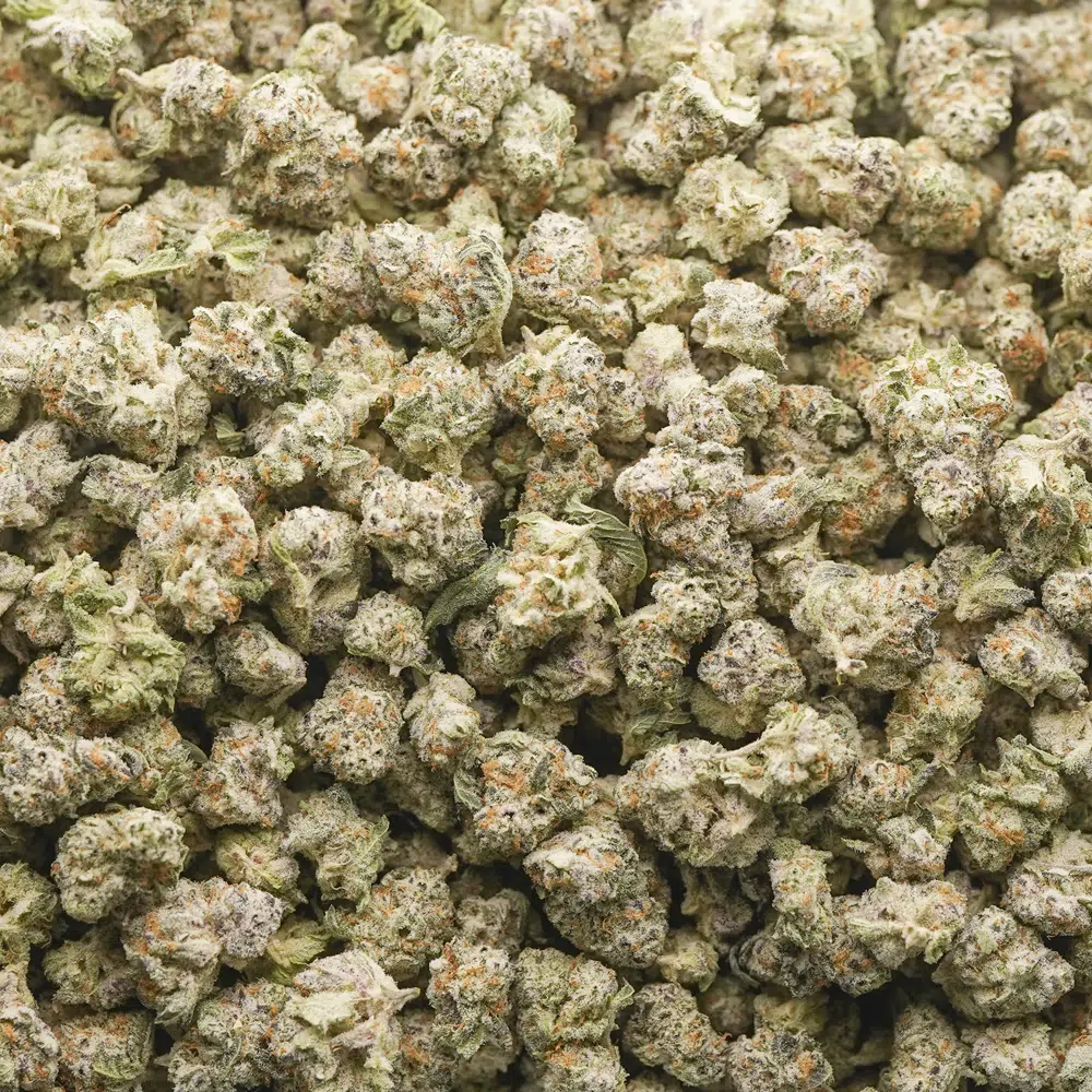 buy-weed-online-dispensary-popcorn-el-fuego-blanco-craft-wholesale