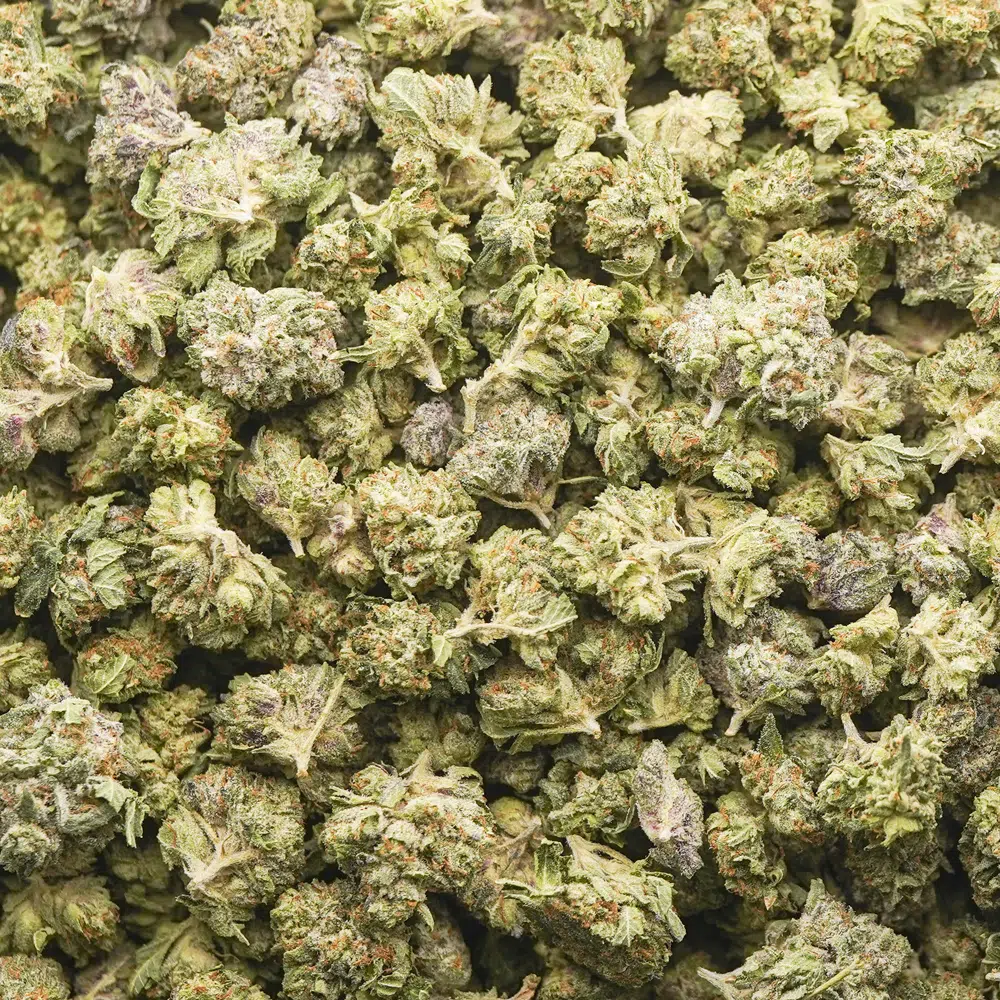 buy-weed-online-dispensary-popcorn-zombie-death-fuck-aaaa-wholesale