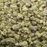 Purple Lemon G AAA Popcorn - Hybrid