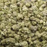 Purple Lemon G AAA Popcorn - Hybrid