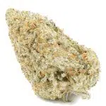 Animal Mints AA - Hybrid