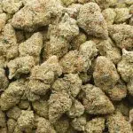 Animal Mints AA - Hybrid - Image 3