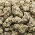 Alien Mints AAA - Hybrid - Image 3