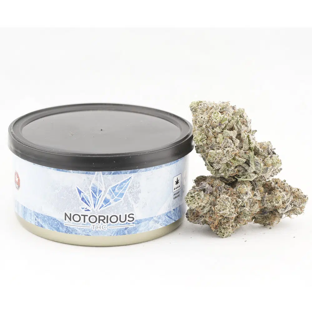 buy-weed-online-dispensary-craft-tuna-can-black-mamba Notorious THC Craft - Black Mamba (7 Grams) - Image 1