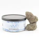 Notorious THC Craft - Jungle Breath (7 Grams)