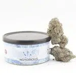 Notorious THC Craft - Rocket Juice (7 Grams)