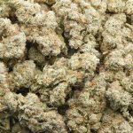 Dragon OG AAA - Sativa - Image 3