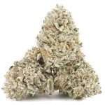 Firestorm AAA - Hybrid - Image 2