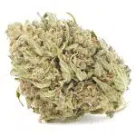 Wholesale - God's AK-47 - A - Image 3