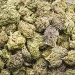 Wholesale - God's AK-47 - A