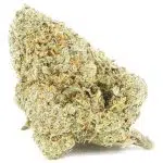 Wholesale - Phat Gary - AA - Image 3