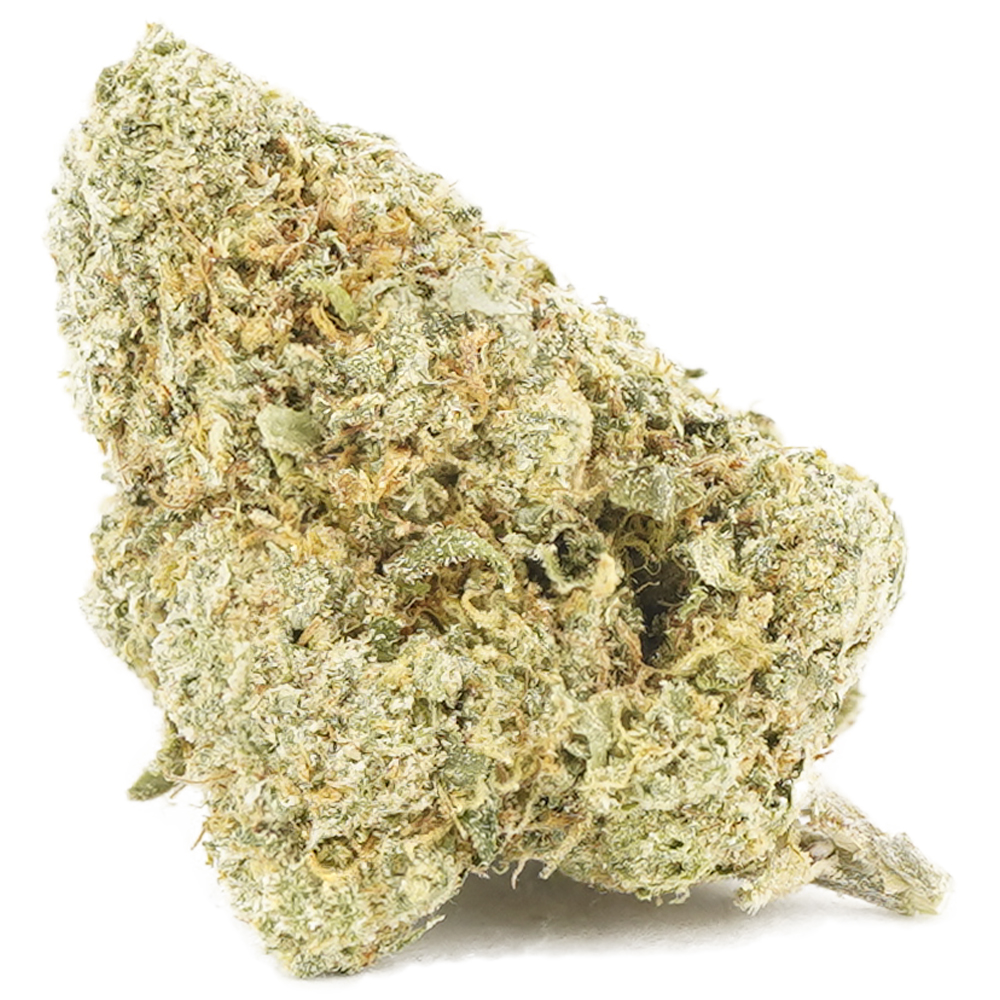Phat Gary AA – Hybrid