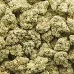 Wholesale - Phat Gary - AA