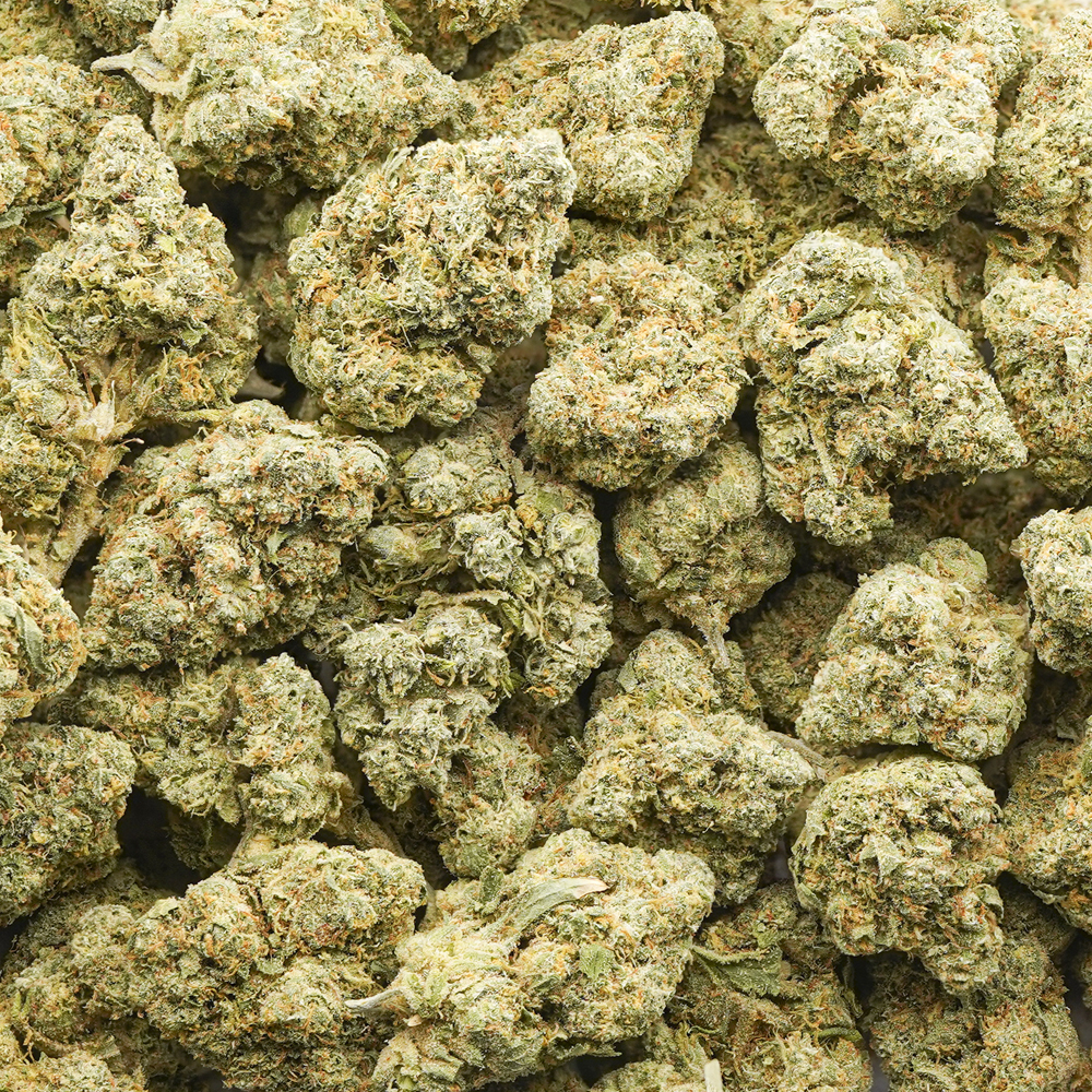 Wholesale – Phat Gary – AA