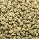 Tiger Punch AA Popcorn - Hybrid