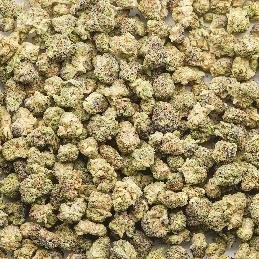 Tiger Punch AA Popcorn – Hybrid
