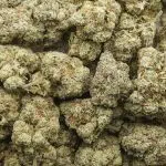 Wedding Pie AAA - Indica - Image 3