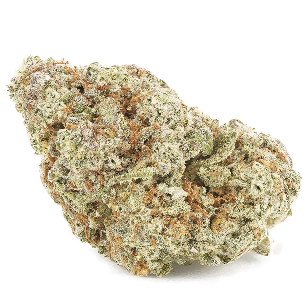 White Louis AA – Hybrid