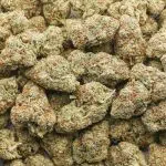 White Louis AA - Hybrid - Image 3