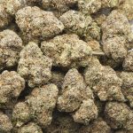 Berry Blast AAA - Indica - Image 3