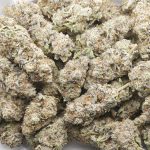 Wholesale - Black Death Bubba - AAAA