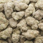 Wholesale - Headband Larry - Craft