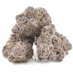 Huckleberry AAAA - Hybrid - Image 2