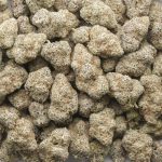 London Truffle Craft - Indica - Image 3