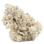 Wholesale - Shark OG - AAAA - Image 3