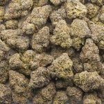 Blue Monkey AAAA - Indica - Image 3