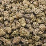 Wholesale Popcorn - Blueberry Cookies - Craft