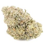 Wholesale - Class Clown - A - Image 3