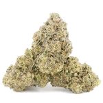 Wholesale - Class Clown - A - Image 2