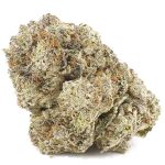 Wholesale - Comatose Og - AA - Image 3