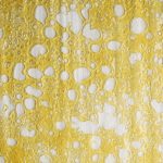 Shatter - Goji Gorilla - Indica - Image 2