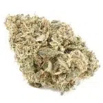 Wholesale - Hubba Bubba Kush - A - Image 3