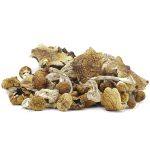 Wholesale Shrooms - Dancing Tiger