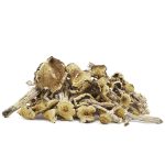 Shrooms - Mazapatec - Image 2