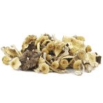 Wholesale Shrooms - Texas Envy
