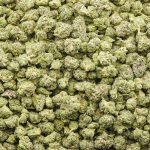 Master Kush AAAA Popcorn - Indica