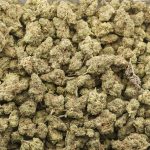 Wholesale Popcorn - Rockstar Tuna - AAA