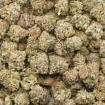 Cherry MAC Pie AAAA Popcorn - Hybrid