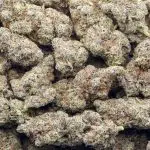 Galactic Death Star AAAA - Indica - Image 3